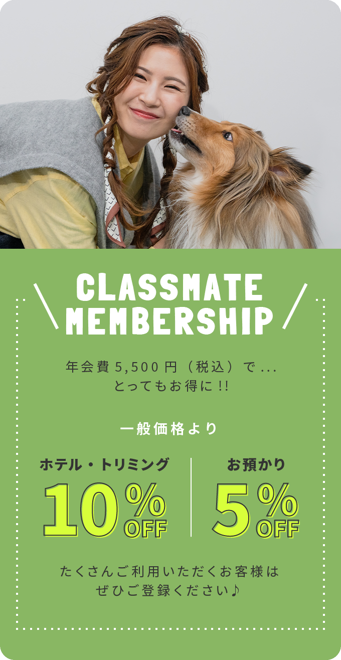 ”クラスメイト会員募集”