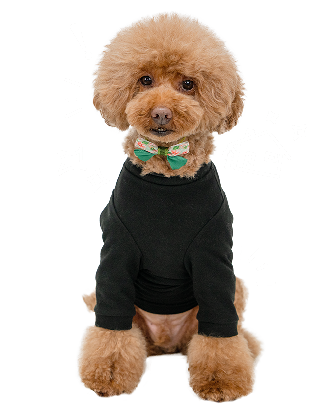 ペットホテル＆お預かり