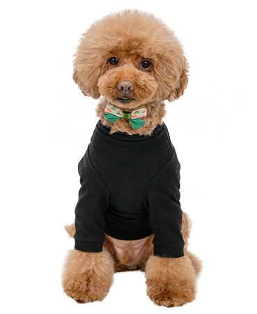 ”ペットホテル＆お預かり”