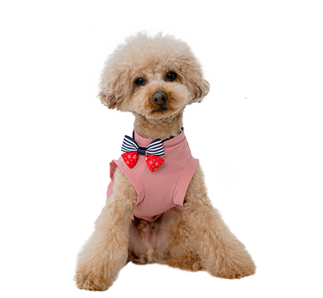 ”ペット販売（広面店のみ）”