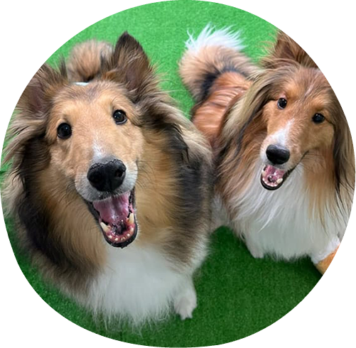 クラスメイトでお預かり♪