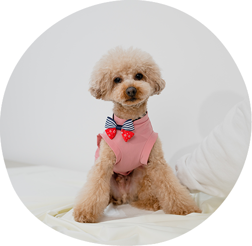 ご予約の日時にご来店!